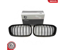 GRIGLIA RADIATORE PER BMW