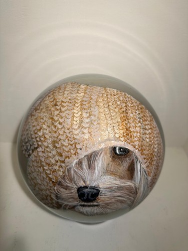 Cane con cappello disegnato - cane,