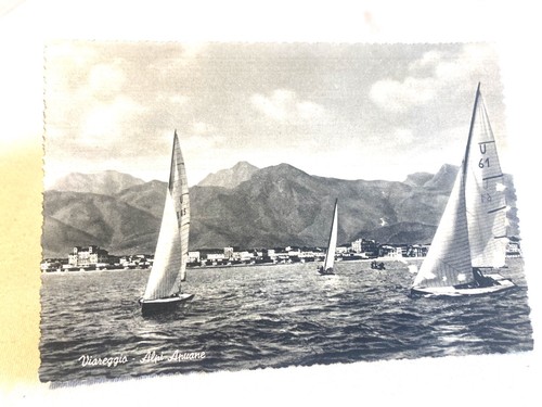 Nuova regata barche a - -,
