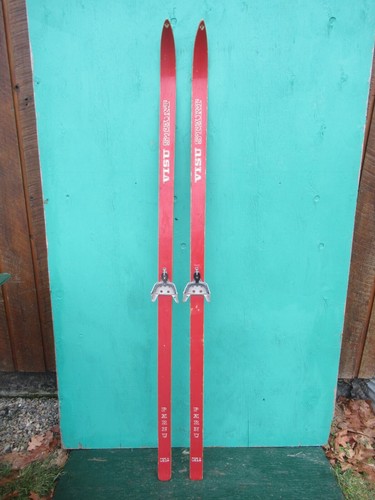 Bellissimi vecchi sci - sci, neve