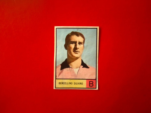 Bercellino silvino album - bercellino,