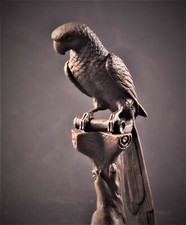 Bronzo Pappagallo Ara Uccello