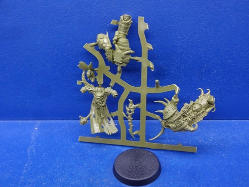 Plague marine campione - plague,