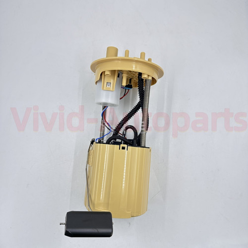 Gruppo modulo pompa carburante - modulo,