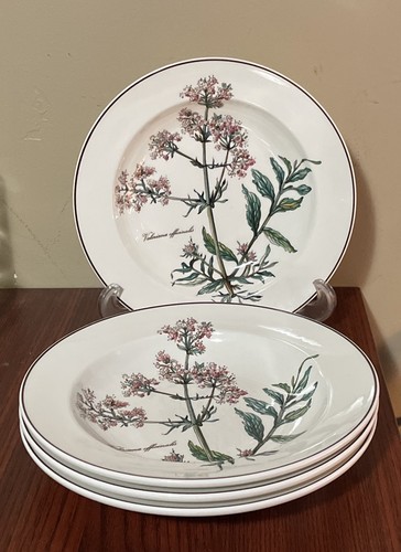 Villeroy boch botanica - &,
