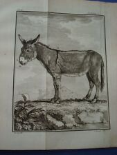 VETERINARIA-BUFFON-HISTOIRE NATURELLE -CAVALLO-ASINO-BUE-23 INCISIONI IN RAME
