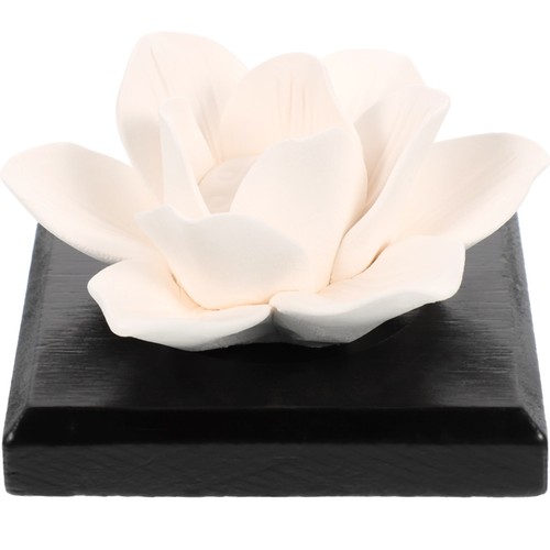 Diffusore profumo auto - ,