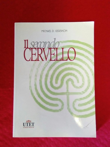 Libro secondo cervello - il,