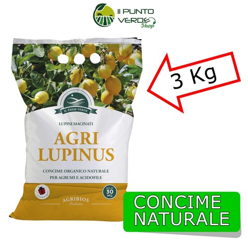 Lupini macinati kg - macinati, 3