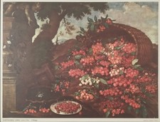 Vintage. Antica stampa colori