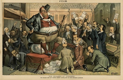 Congress bugaboo irish - congress, vote