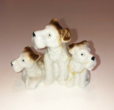 Deliziosi Cani Di Razza