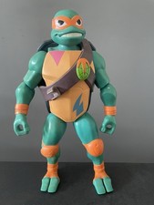 Rise of the Teenage Mutant