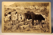 1870 aratro messicano in legno