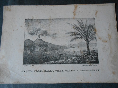 1823 napoli veduta dalla villa - dalla,