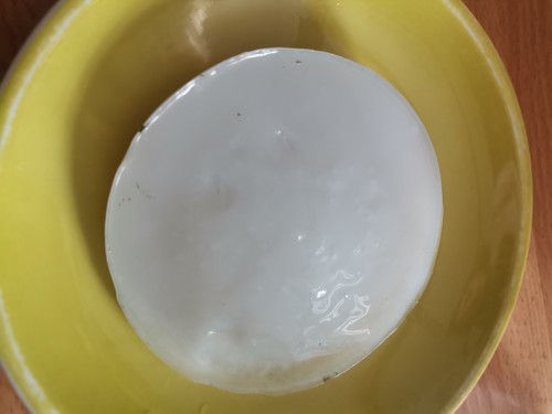 Kombucha spirulina acqua - spirulina,, di