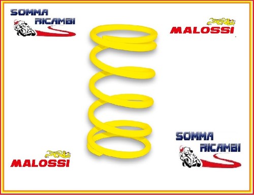 Molla variatore malossi - ,