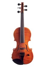 Cantini violino elettrico 5
