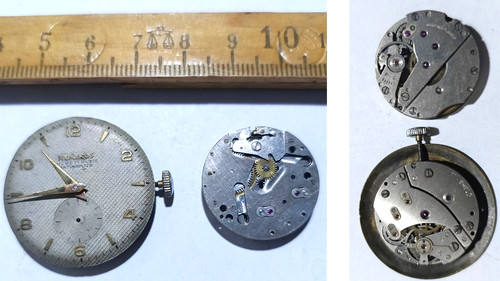 Lotto orologi polso rubis - lotto,