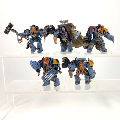 Terminators gardes loups - x5,