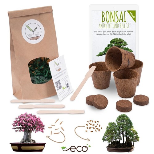 Kit avviamento bonsai kit