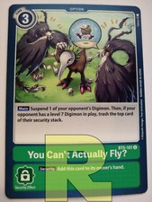 You Can't Actually Fly? ®