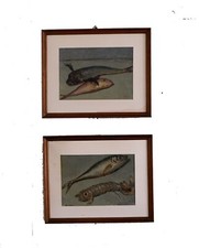 Leno Scala (Faenza,1925)