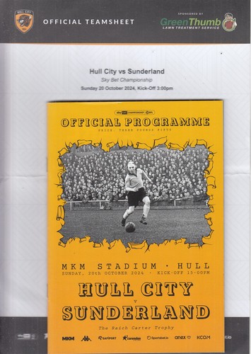 Hull city sunderland - city, v