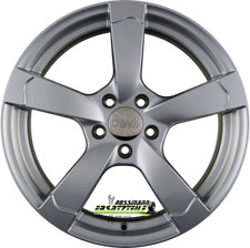 DBV Torino II argento