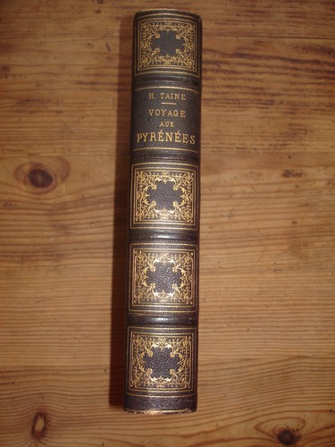 6592 taine gustave doré - 6592,