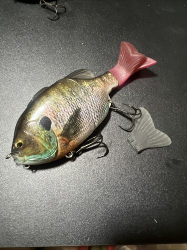 Imakatsu gillroid quasi - imakatsu, jr