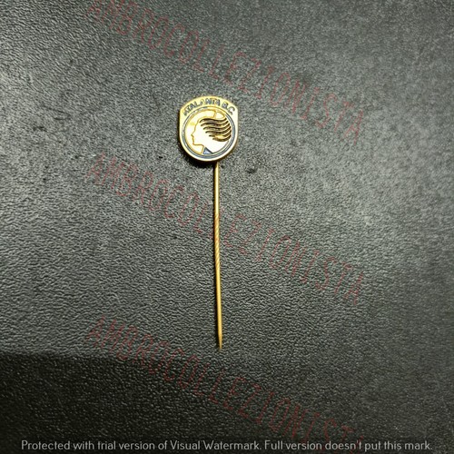 Spilla pins sportiva squadra - sportiva,