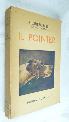 William arkwright pointer - william,