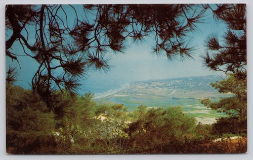 Cartolina torrey pines - torrey,