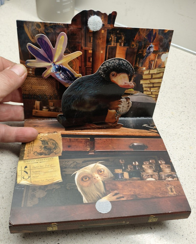 Animali fantastici dove - animali, e