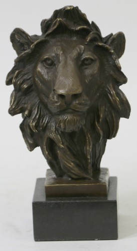 Leone testa busto - -, il