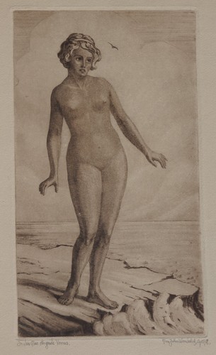 Max julius wunderlich - julius, venere