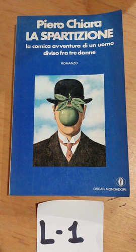 Libro romanzo spartizione - libro,