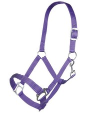 Capezza per cavalli in nylon