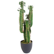 Pianta di cactus artificiale