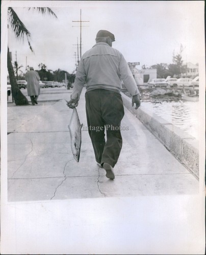 1966 uomo che trasporta pesci - 1966,