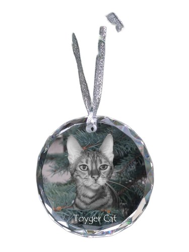 Toyger gatto sfera di - gatto,