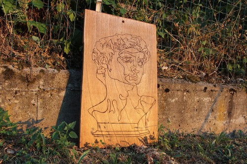 Riproduzione del david - , di