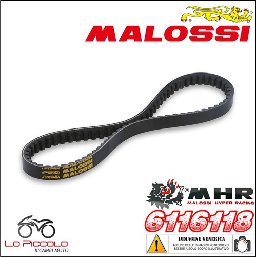 6116118 cinghia belt - 6116118,