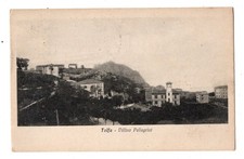 C000808   CARTOLINA    TOLFA