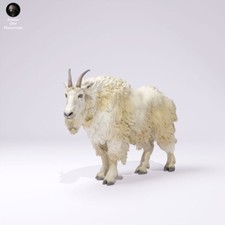 Diorama ferroviario modello