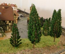 20 Verde Scuro Abeti, Conifere , Je 10 Pezzo 78 E 110 MM Alto