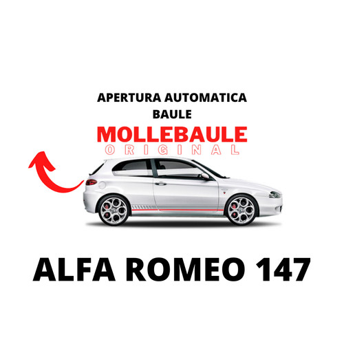 Mollebaule kit molle apertura - molle,