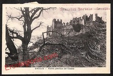 ai7032  - CARTOLINA D' EPOCA - Sondrio Provincia - Grosio