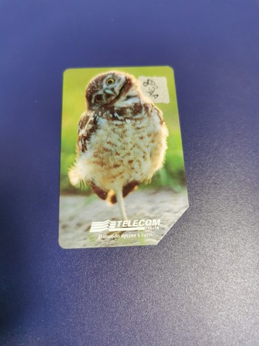 Scheda telefonica animali - scheda,